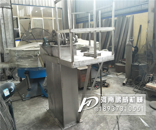 不锈钢双链条斗式提升机